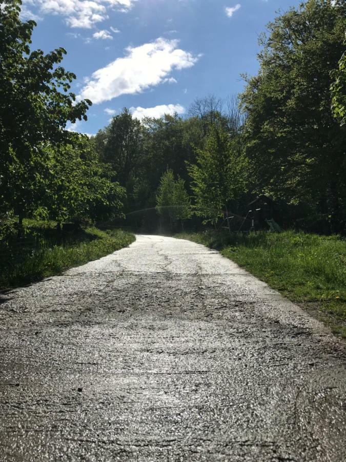 Отель Activ Parc Negresti Экстерьер фото